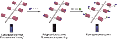 Graphical abstract: Pillar[5]arene-based side-chain polypseudorotaxanes as an anion-responsive fluorescent sensor