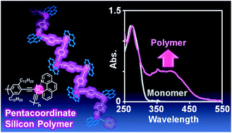 Graphical abstract: Synthesis and tuning of optical properties of conjugated polymers involving benzo[h]quinoline-based neutral pentacoordinate organosilicon complexes in the main chain