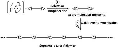 Graphical abstract: Generation of supramolecular microcapsules by oxidative covalent polymerization of a ditopic supramolecular building block