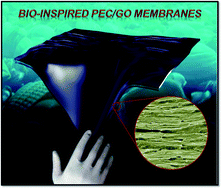 Graphical abstract: Bio-inspired polyelectrolyte complex/graphene oxide nanocomposite membranes with enhanced tensile strength and ultra-low gas permeability