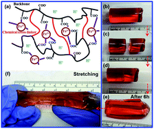 Graphical abstract: Autonomous self-healing of poly(acrylic acid) hydrogels induced by the migration of ferric ions