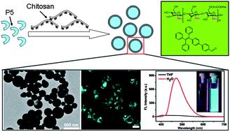 Graphical abstract: Facile fabrication and cell imaging applications of aggregation-induced emission dye-based fluorescent organic nanoparticles