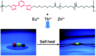 Graphical abstract: Self-healing metallo-supramolecular polymers from a ligand macromolecule synthesized via copper-catalyzed azide–alkyne cycloaddition and thiol–ene double “click” reactions
