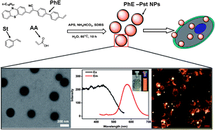 Graphical abstract: Fabrication of aggregation induced emission dye-based fluorescent organic nanoparticles via emulsion polymerization and their cell imaging applications