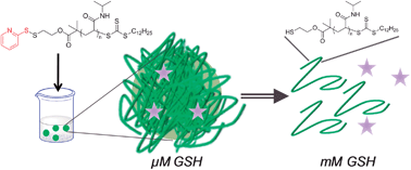 Graphical abstract: Glutathione-triggered disassembly of isothermally responsive polymer nanoparticles obtained by nanoprecipitation of hydrophilic polymers