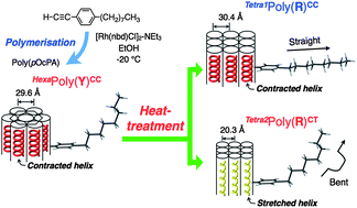 Graphical abstract: Synthesis and solid state helix to helix rearrangement of poly(phenylacetylene) bearing n-octyl alkyl side chains