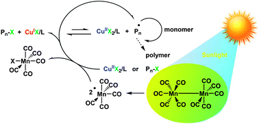 Graphical abstract: Sunlight induced atom transfer radical polymerization by using dimanganese decacarbonyl