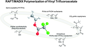 Graphical abstract: RAFT/MADIX (co)polymerization of vinyl trifluoroacetate: a means to many ends