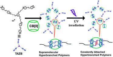 Graphical abstract: Fabricating covalently attached hyperbranched polymers by combining photochemistry with supramolecular polymerization