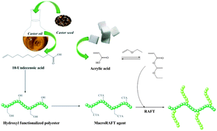 Graphical abstract: MacroRAFT agents from renewable resources and their use as polymeric scaffolds in a grafting from approach