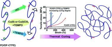 Graphical abstract: Synthesis and characterization of thermally self-curable fluoropolymer triggered by TEMPO in one pot for high performance rubber applications