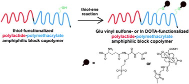 Graphical abstract: Facile synthesis of thiol-functionalized amphiphilic polylactide–methacrylic diblock copolymers