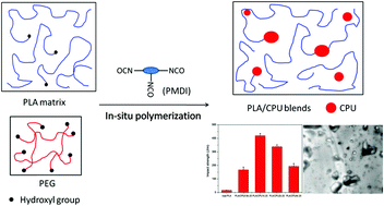 Graphical abstract: In situ formed crosslinked polyurethane toughened polylactide