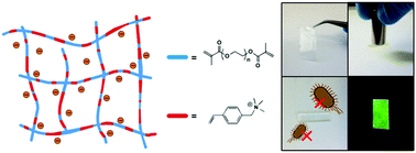 Graphical abstract: Multifunctional photo-crosslinked polymeric ionic hydrogel films