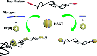 Graphical abstract: A polymeric chain extension driven by HSCT interaction