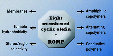 Graphical abstract: Ring-opening metathesis polymerization of 8-membered cyclic olefins