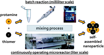 Graphical abstract: Thinking continuously: a microreactor for the production and scale-up of biodegradable, self-assembled nanoparticles