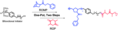 Graphical abstract: One-pot synthesis of poly(norbornene)-block-poly(lactide) copolymers using a bifunctional initiator