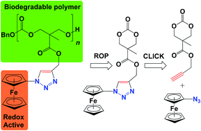 Graphical abstract: Synthesis of ferrocene-functionalized monomers for biodegradable polymer formation