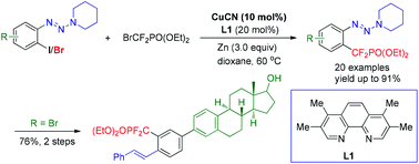 Graphical abstract: Copper-catalyzed cross-coupling of bromozinc-difluoromethylphosphonate with iodo/bromo-aryl triazenes