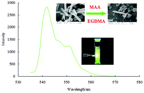 Graphical abstract: Highly sensitive and selective novel core–shell molecularly imprinted polymer based on NaYF4: Yb3+, Er3+ upconversion fluorescent nanorods
