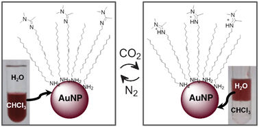Graphical abstract: CO2 switchable nanoparticles: reversible water/organic-phase exchange of gold nanoparticles by gas bubbling
