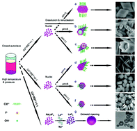 Graphical abstract: pH- and surfactant-mediated tunable morphology and upconversion of rare-earth doped fluoride microcrystals