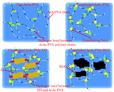 Graphical abstract: Crosslinked acetylacetonated poly(vinyl alcohol-co-vinyl acetate) nanocomposites with graphene oxide and reduced graphene oxide: a new way to modify the property of nanocomposites