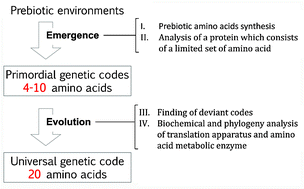 Graphical abstract: The number of amino acids in a genetic code