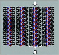 Graphical abstract: Collective displacements in a molecular crystal polymorphic transformation