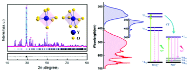 Graphical abstract: Crystal structure and optical properties of white light-emitting Y2WO6:Sm3+ phosphor with excellent color rendering