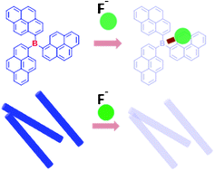 Graphical abstract: Self-assembly of a tripyrenylboron molecule towards solid sensor for fluoride anions
