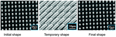 Graphical abstract: Tuning surface micropattern features using a shape memory functional polymer