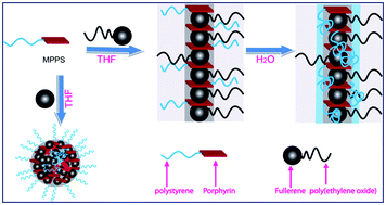Graphical abstract: Continuous fibrils from the self-assembly of monochelic polymeric porphyrin and PEGylated fullerene