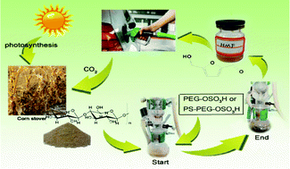 Graphical abstract: Conversion of carbohydrates into 5-hydroxymethylfurfural using polymer bound sulfonic acids as efficient and recyclable catalysts