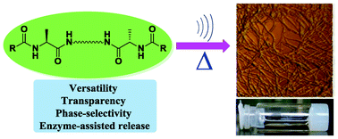 Graphical abstract: Bolaform homodiamides of N-protected alanines as efficient and versatile sono- and thermo-gelators offering phase-selectivity, optical-transparency and enzyme-assisted release