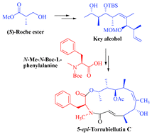 Graphical abstract: Total synthesis of 5-epi-Torrubiellutin C and its biological evaluation
