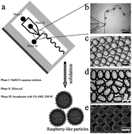 Graphical abstract: Microfluidic synthesis of monodisperse hierarchical silica particles with raspberry-like morphology