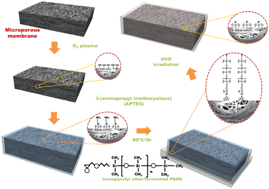 Graphical abstract: Solution processable silica thin film coating on microporous substrate with high tortuosity: application to a battery separator