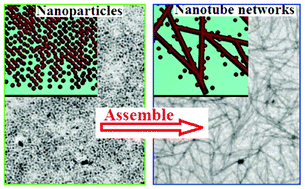 Graphical abstract: Assembling TiO2 nanocrystals into nanotube networks on two dimensional substrates