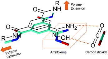 Graphical abstract: Amidoxime porous polymers for CO2 capture