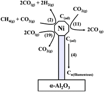 Graphical abstract: The application of inelastic neutron scattering to investigate the ‘dry’ reforming of methane over an alumina-supported nickel catalyst operating under conditions where filamentous carbon formation is prevalent