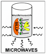 Graphical abstract: An efficient microwave-assisted enzymatic resolution of alcohols using a lipase immobilised on supported ionic liquid-like phases (SILLPs)