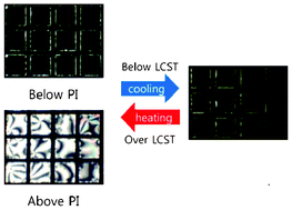 Graphical abstract: Protein detection using aqueous/LC interfaces decorated with a novel poly(N-isopropyl acrylamide) block liquid crystalline polymer