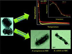 Graphical abstract: Controlled synthesis of spin glass nickel oxide nanoparticles and evaluation of their potential antimicrobial activity: A cost effective and eco friendly approach