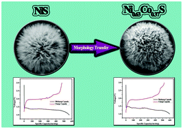 Graphical abstract: Large-scale urchin-like micro/nano-structured NiS: controlled synthesis, cation exchange and lithium-ion battery applications