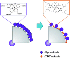 Graphical abstract: High performance dye sensitized solar cells by adding titanate co-adsorbant