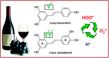 Graphical abstract: Piceatannol, a better peroxyl radical scavenger than resveratrol