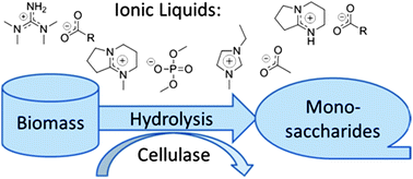 Graphical abstract: Cellulose hydrolysis with thermo- and alkali-tolerant cellulases in cellulose-dissolving superbase ionic liquids