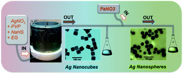 Graphical abstract: Rapid continuous flow synthesis of high-quality silver nanocubes and nanospheres